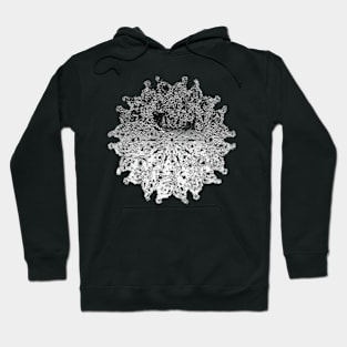 silver star abstract digital art Hoodie